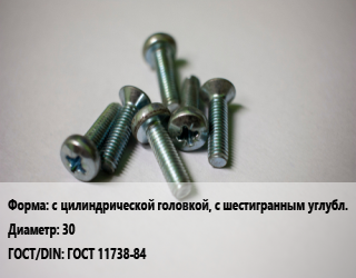 Винт с цилиндрической головкой, с шестигранным углубл. 30 ГОСТ 11738-84, по запросу, кг цена от 510.08 Тг / кг, где купить, условия доставки в Атырау и Атырауской области области